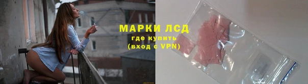 спайс Алзамай