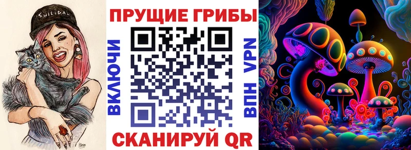 Псилоцибиновые грибы GOLDEN TEACHER  как найти   Карталы 